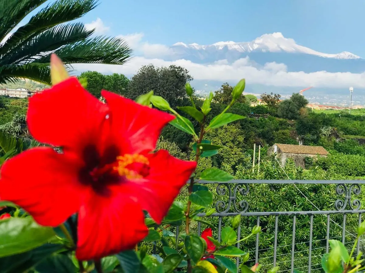Couette-café Palazzo Giovanni Bed And Breakfast Acireale